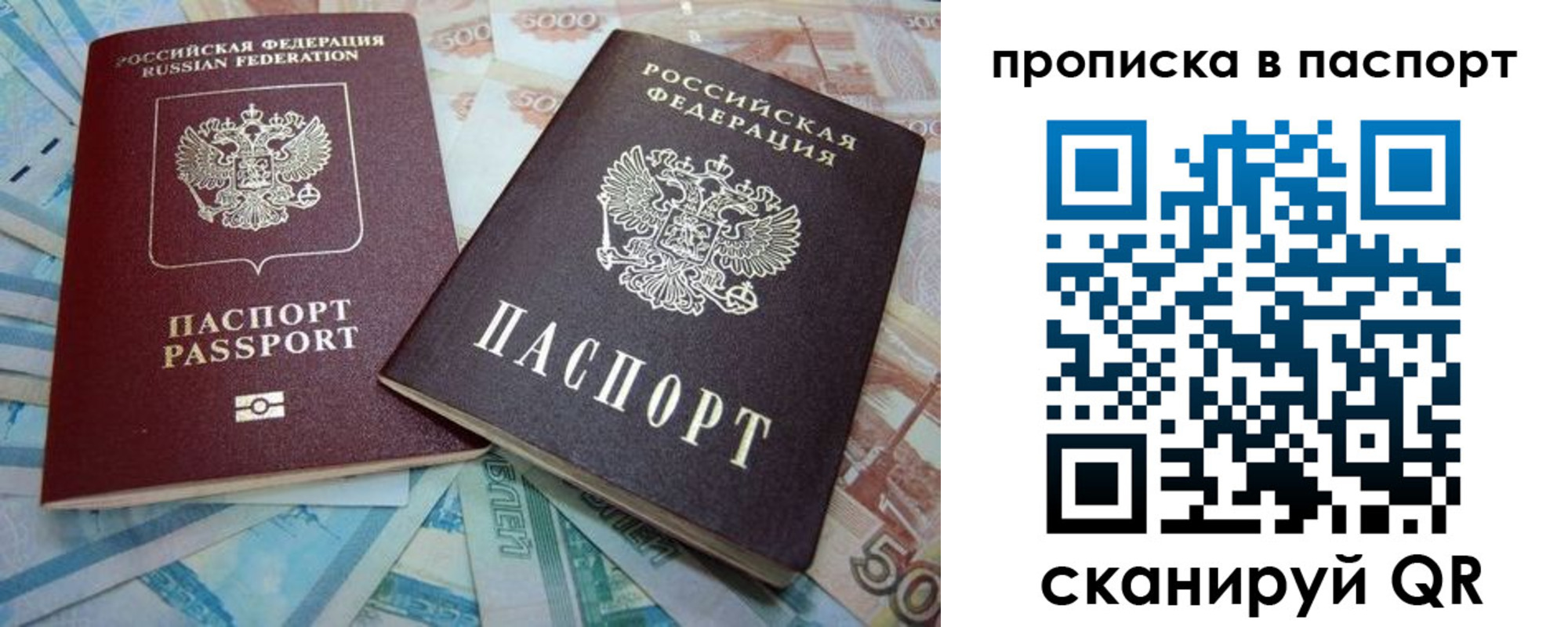 прописка поиск в Сухиничи